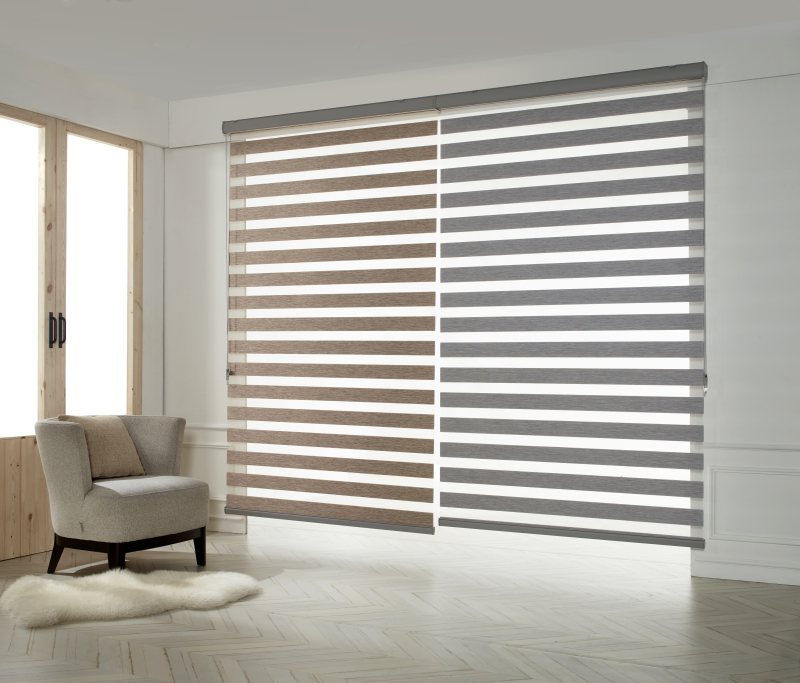 5 Reasons Zebra Blinds Are the Best Window Covering - LC Living